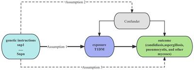 Causal relationship between type 1 diabetes mellitus and mycoses: a Mendelian randomization study